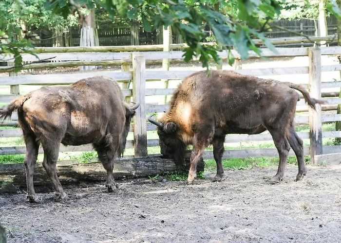Quarto em Acomodações Particulares Wczasowisko